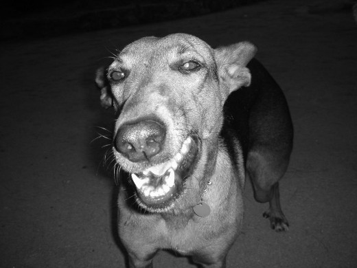 Sonriendo a la camara!!! Sonriendo a la camara!!!